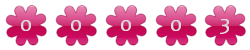 contador de visitas para blog